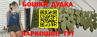 spice Нальчик