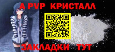 PSILOCYBIN Можга