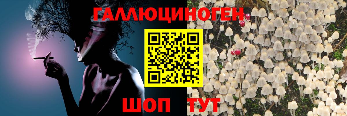 Псилоцибиновые грибы ЛСД Углич