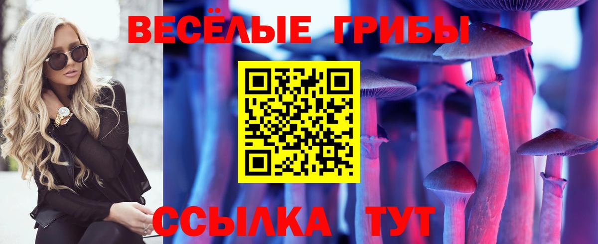 Углич  купить   Псилоцибиновые грибы MAGIC MUSHROOMS  Вход с VPN  Псилоцибиновые грибы мицелий 